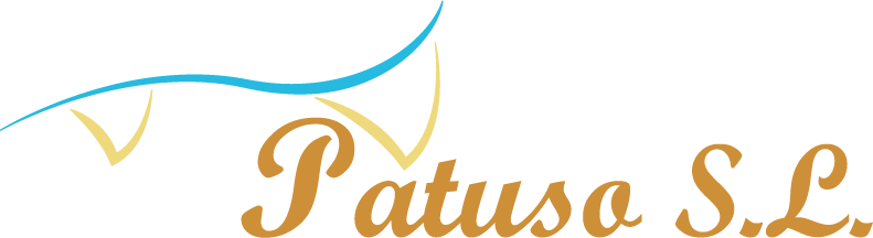 Portal de Transparencia de Patuso S.L.